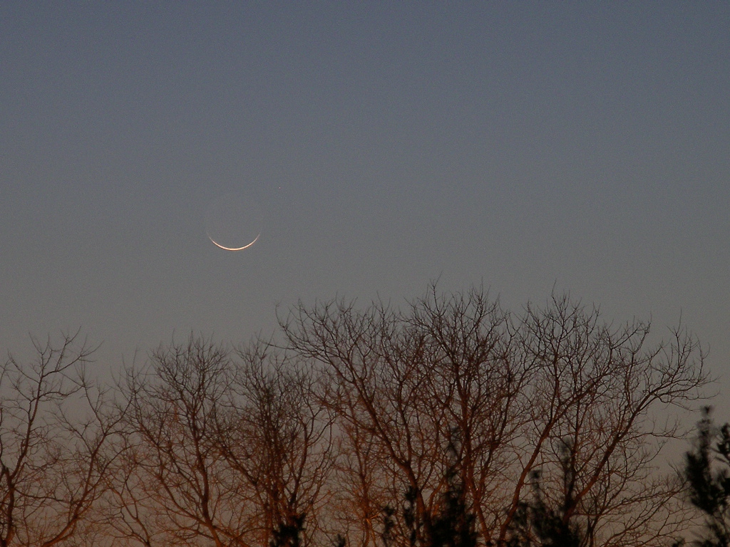 الرياضة في رمضان: الدليل الكامل للتمارين الآمنة أثناء الصيام