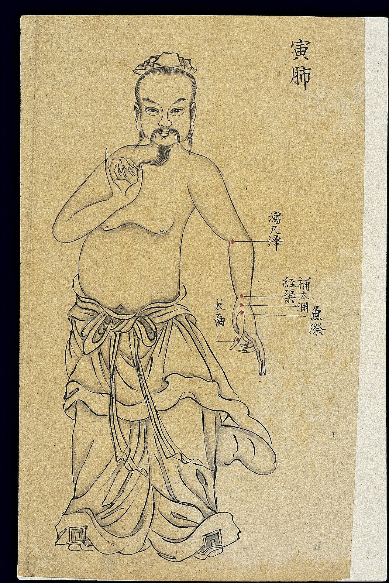 手太阴肺经